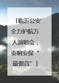 临沂公安全力护航万人演唱会，奏响安保“最强音”