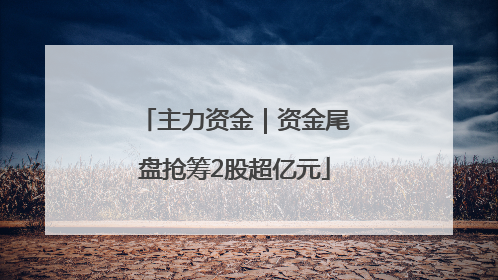 主力资金｜资金尾盘抢筹2股超亿元
