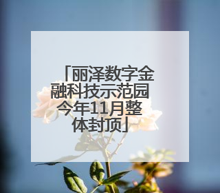 丽泽数字金融科技示范园今年11月整体封顶