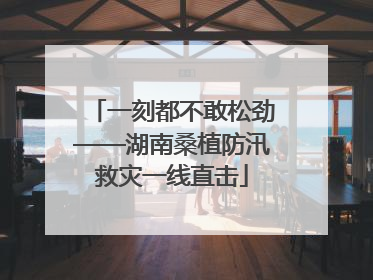 一刻都不敢松劲——湖南桑植防汛救灾一线直击