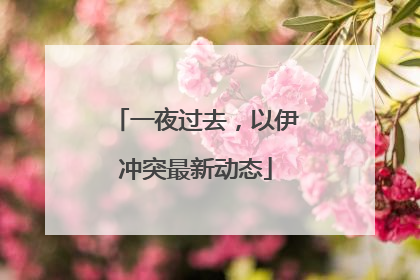 一夜过去，以伊冲突最新动态