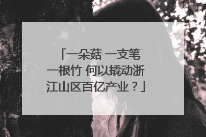 一朵菇 一支笔 一根竹 何以撬动浙江山区百亿产业？