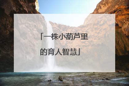 一株小葫芦里的育人智慧