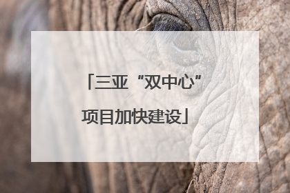 三亚“双中心”项目加快建设
