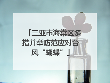三亚市海棠区多措并举防范应对台风“蝴蝶”