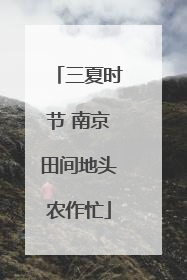 三夏时节 南京田间地头农作忙