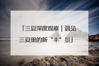 三夏深度观察｜遇见三夏里的新“丰”景