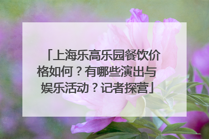 上海乐高乐园餐饮价格如何？有哪些演出与娱乐活动？记者探营