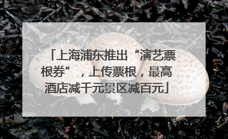 上海浦东推出“演艺票根券”，上传票根，最高酒店减千元景区减百元