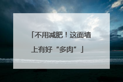 不用减肥！这面墙上有好“多肉”
