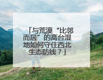 与荒漠“比邻而居”的高台湿地如何守住西北生态防线？