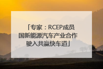 专家：RCEP成员国新能源汽车产业合作驶入共赢快车道