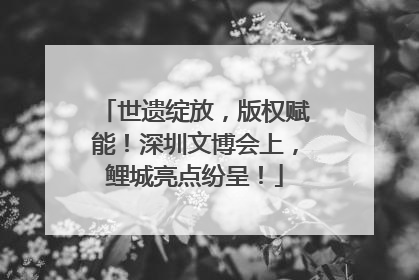 世遗绽放，版权赋能！深圳文博会上，鲤城亮点纷呈！