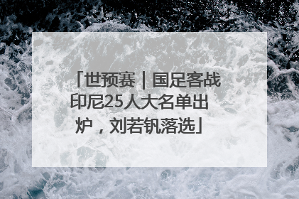 世预赛｜国足客战印尼25人大名单出炉，刘若钒落选