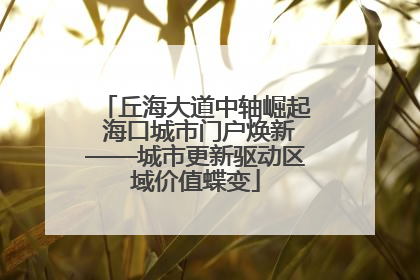 丘海大道中轴崛起 海口城市门户焕新——城市更新驱动区域价值蝶变