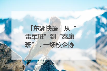 东湖快语｜从“雷军班”到“泰康班”：一场校企协同的“接力赛”