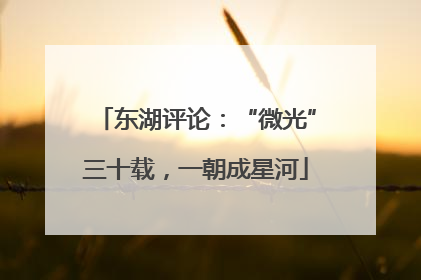 东湖评论：“微光”三十载，一朝成星河