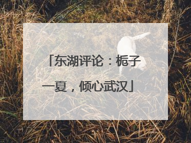 东湖评论：栀子一夏，倾心武汉