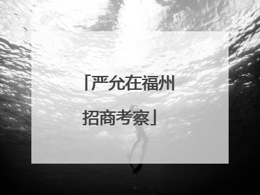 严允在福州招商考察