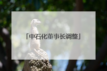 中石化董事长调整