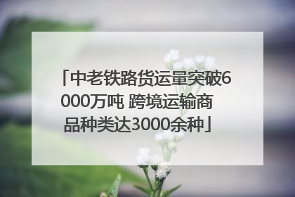 中老铁路货运量突破6000万吨 跨境运输商品种类达3000余种