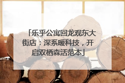 乐乎公寓回龙观东大街店：深系暖科技，开启双栖森活范本