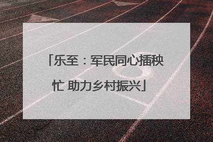 乐至：军民同心插秧忙 助力乡村振兴