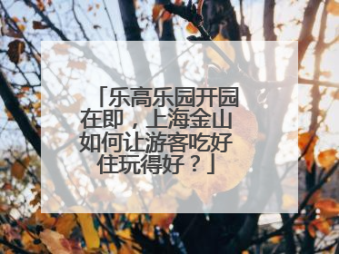 乐高乐园开园在即，上海金山如何让游客吃好住玩得好？