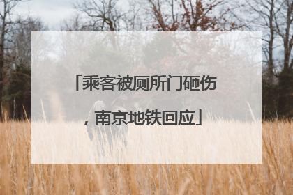 乘客被厕所门砸伤，南京地铁回应