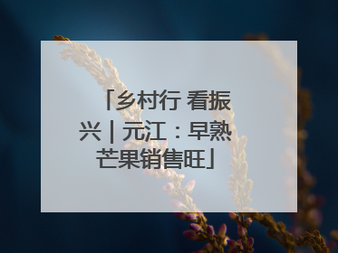 乡村行 看振兴｜元江：早熟芒果销售旺