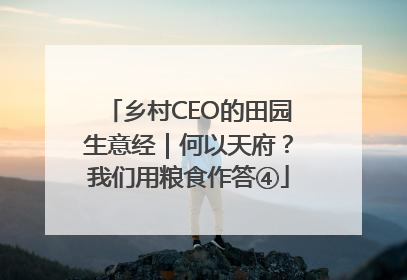 乡村CEO的田园生意经｜何以天府？我们用粮食作答④