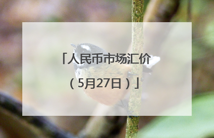 人民币市场汇价（5月27日）