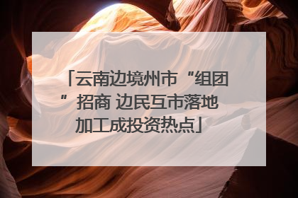 云南边境州市“组团”招商 边民互市落地加工成投资热点