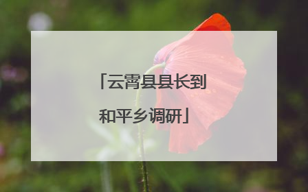 云霄县县长到和平乡调研