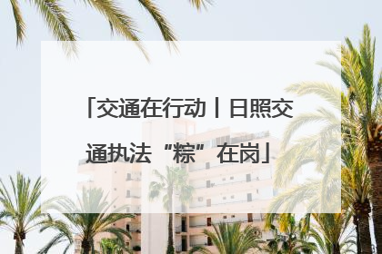 交通在行动丨日照交通执法“粽”在岗