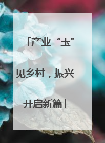 产业“玉”见乡村，振兴开启新篇