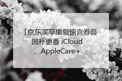 京东买苹果领惊喜券叠国补更香 iCloud、AppleCare+服务限时低至85折