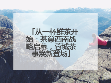 从一杯鲜茶开始：茶巢西南战略启幕，蓉城茶事焕新登场