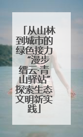 从山林到城市的绿色接力 “漫步缙云·青山驿站”探索生态文明新实践