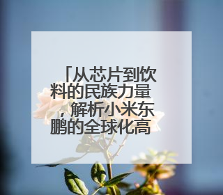 从芯片到饮料的民族力量，解析小米东鹏的全球化高光之路
