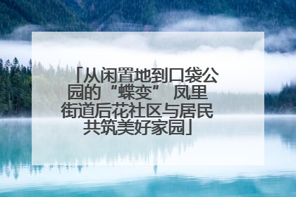 从闲置地到口袋公园的“蝶变” 凤里街道后花社区与居民共筑美好家园