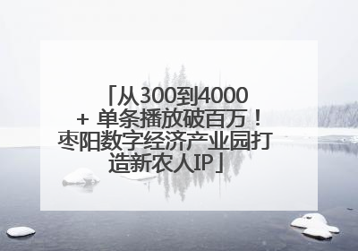 从300到4000+ 单条播放破百万！枣阳数字经济产业园打造新农人IP