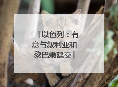 以色列：有意与叙利亚和黎巴嫩建交