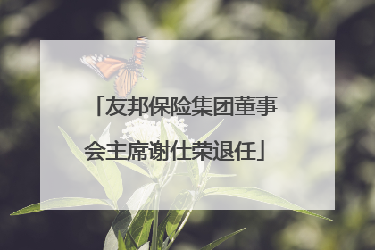 友邦保险集团董事会主席谢仕荣退任