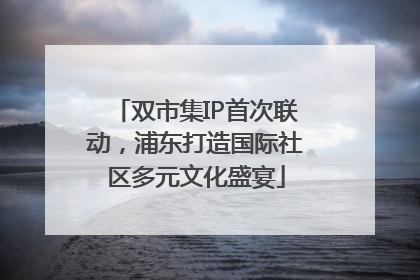 双市集IP首次联动，浦东打造国际社区多元文化盛宴