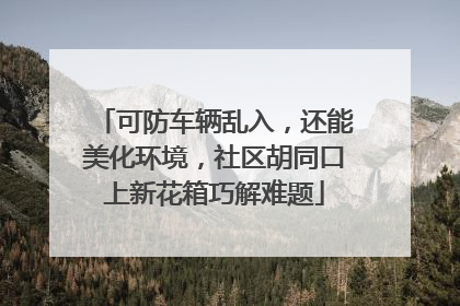可防车辆乱入，还能美化环境，社区胡同口上新花箱巧解难题