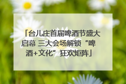 台儿庄首届啤酒节盛大启幕 三大会场解锁“啤酒+文化”狂欢矩阵