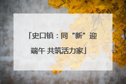 史口镇：同“新”迎端午 共筑活力家