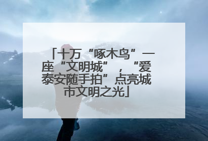 十万“啄木鸟”一座“文明城”，“爱泰安随手拍”点亮城市文明之光