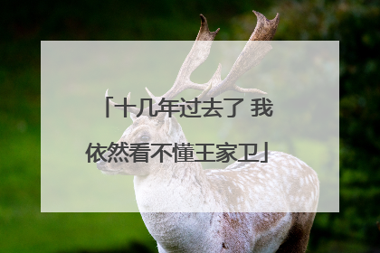 十几年过去了 我依然看不懂王家卫